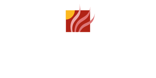 Hair & Scalp Wellness by Vito Mazza